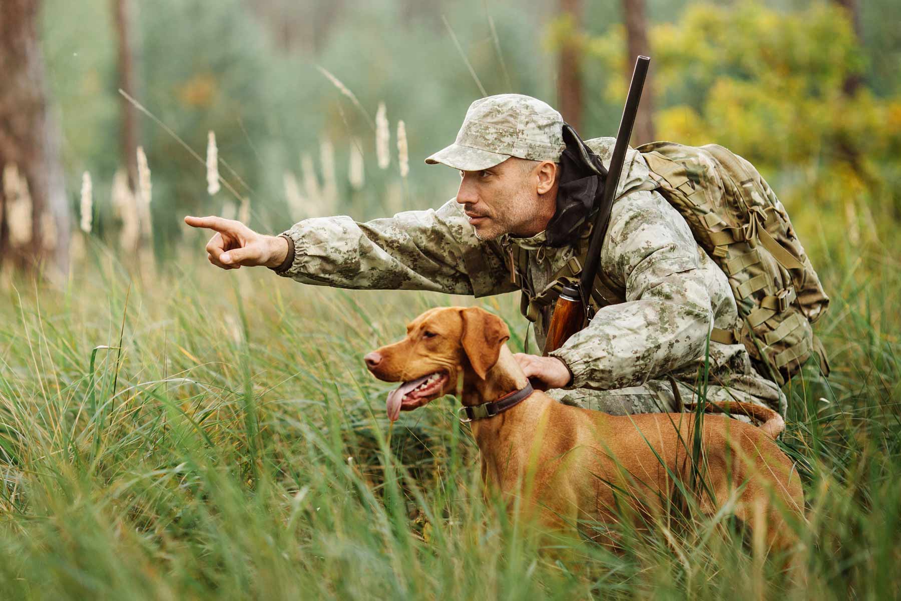 Jäger Mit Hund Auf Der Lauer